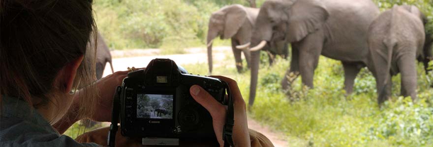 Safari en famille