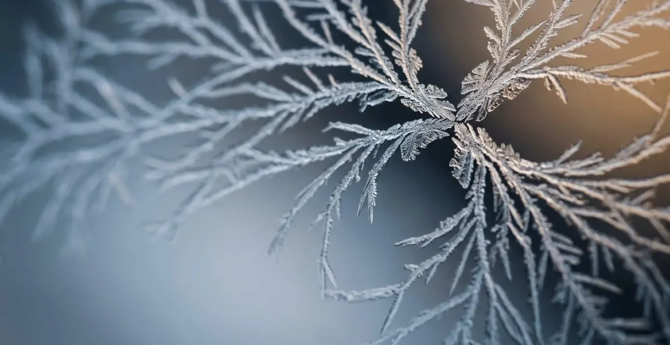 Representation symbolique de la neuroplasticite cerebrale et des connexions neuronales