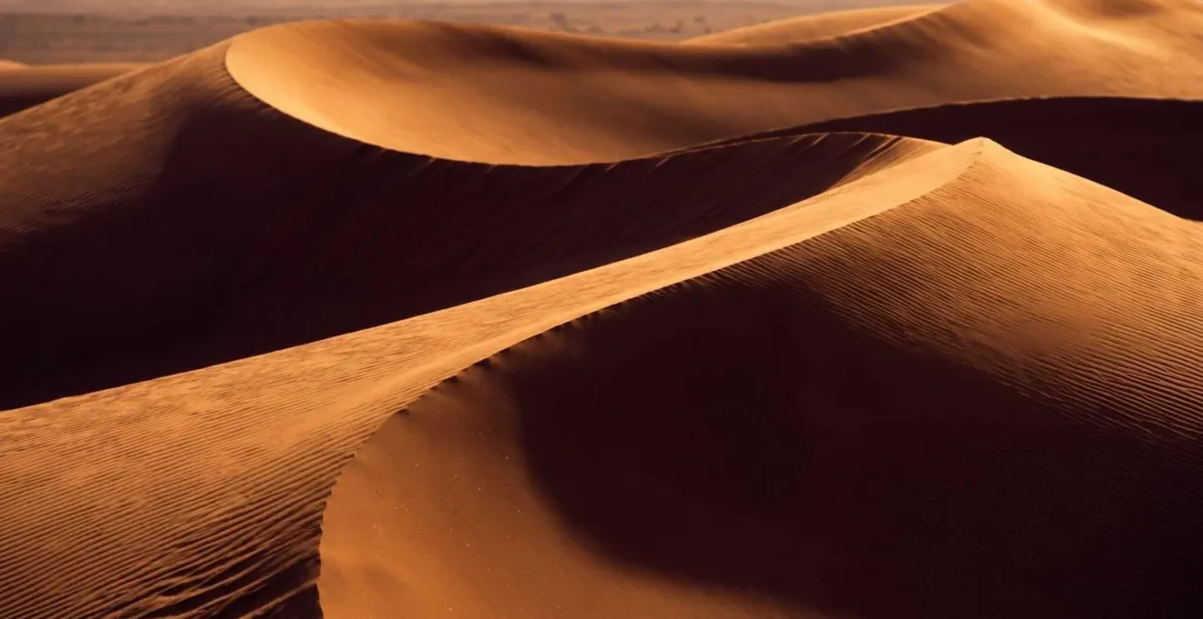 Vue isolée en téléobjectif de courbes de dunes créant une composition abstraite avec jeu d'ombres et de textures