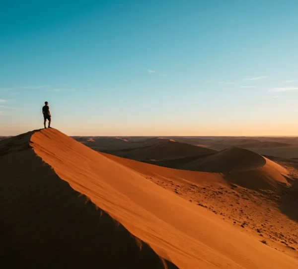 Silhouette humaine contemplant l'horizon infini du désert namibien au crépuscule